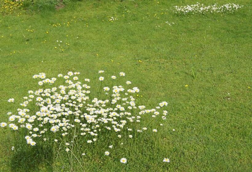 住宿加早餐  Haus Josef