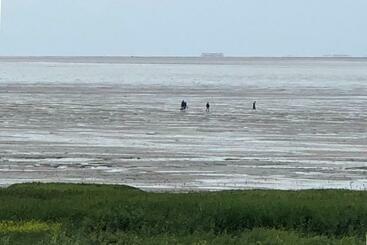 تختخواب و صبحانه Het Huis Van De Wadden