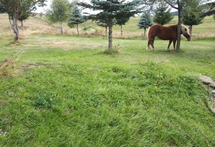 ベッドアンドブレックファースト Le Francillon