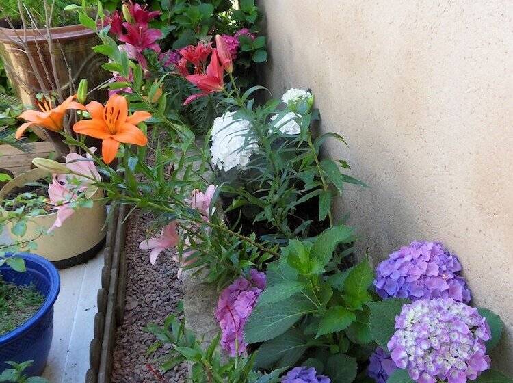 Le Jardin D Ivana B&b Avec Piscine Chauffée