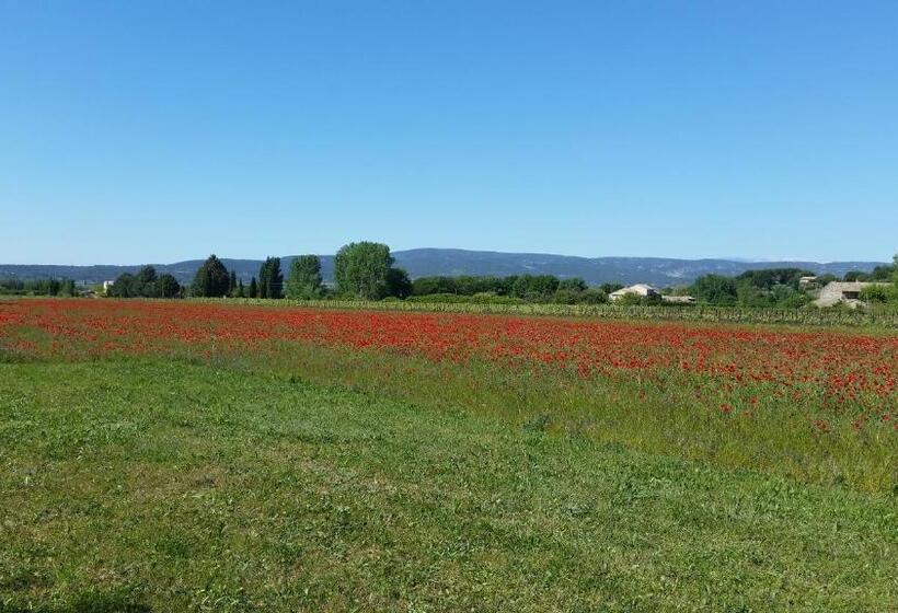 Le Jardin D Ivana B&b Avec Piscine Chauffée