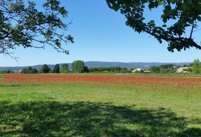 Le Jardin D Ivana B&b Avec Piscine Chauffée