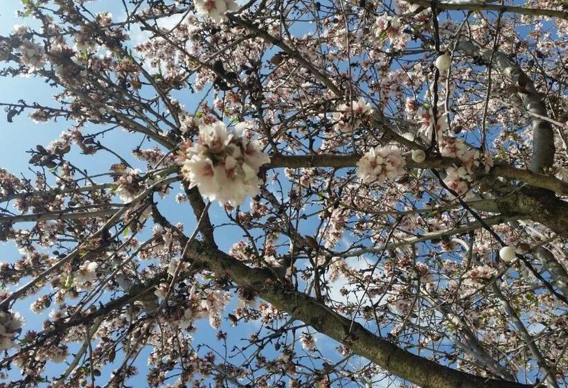 Le Jardin D Ivana B&b Avec Piscine Chauffée