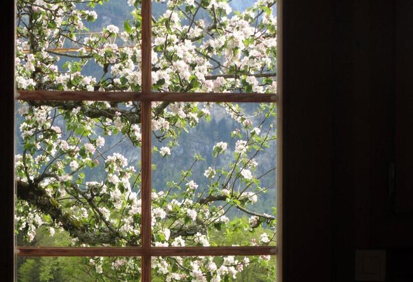 مبيت وإفطار Pension Staldacher