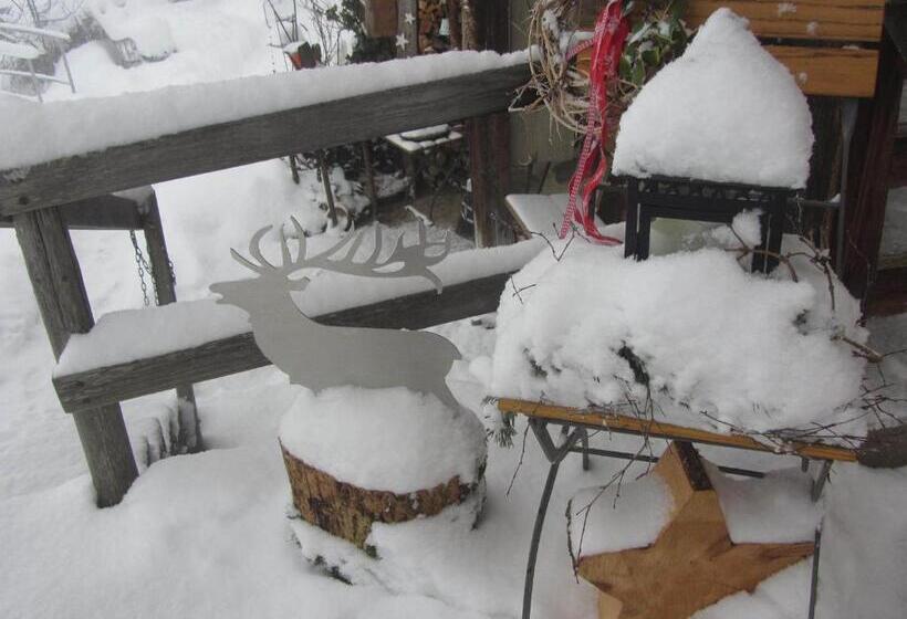 مبيت وإفطار Pension Staldacher