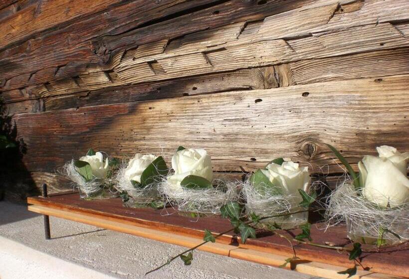 צימר Pension Staldacher