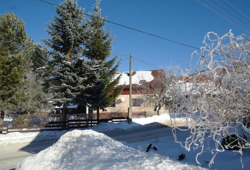 住宿加早餐  Penzion Jaraba