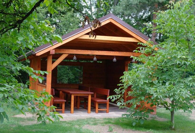 住宿加早餐  Penzion Jaraba