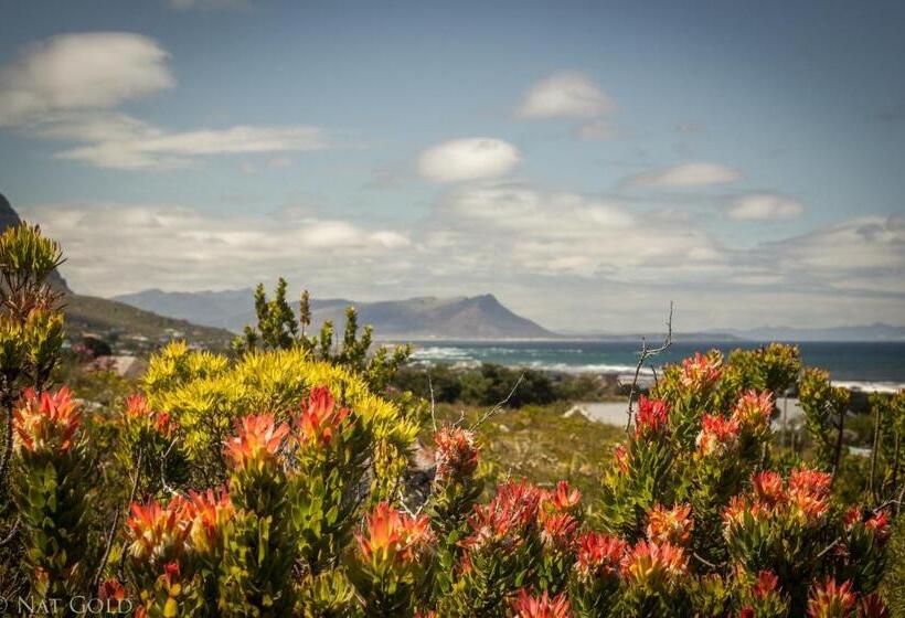 צימר The Trailhouse