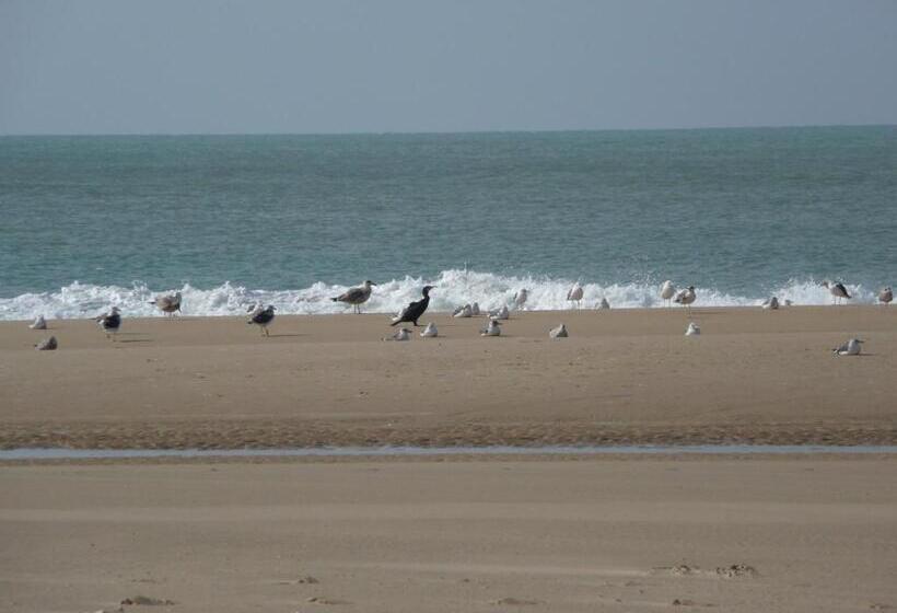 住宿加早餐 Villa Frivole