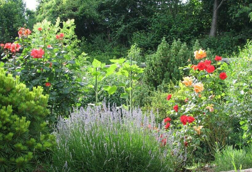 Bed & Breakfast La Val