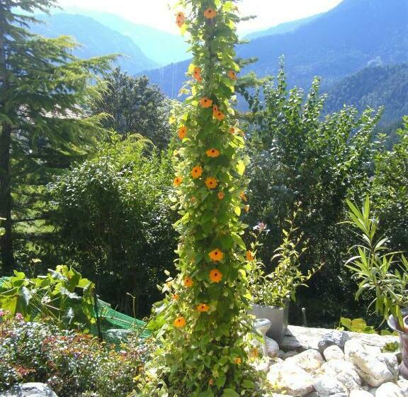 Bed & Breakfast La Val