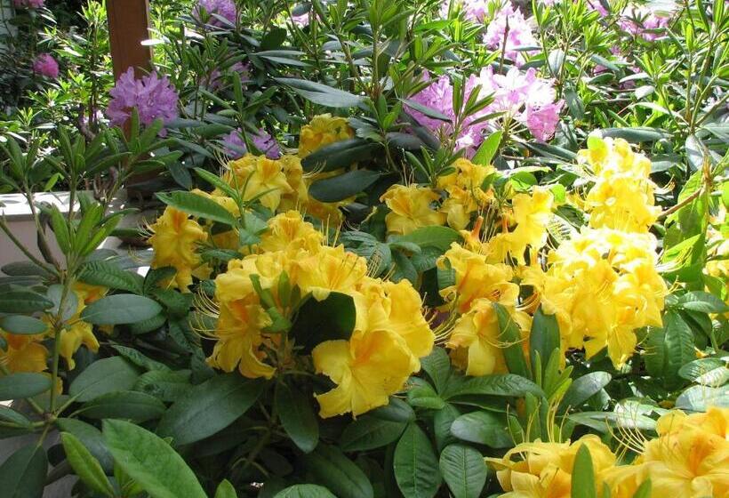 Bed & Breakfast La Val