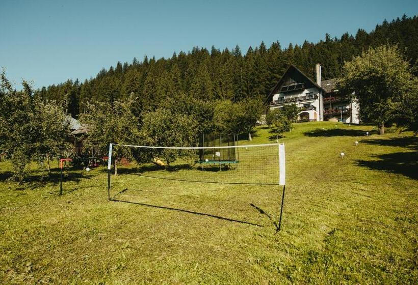Bucovina Lodge Pension