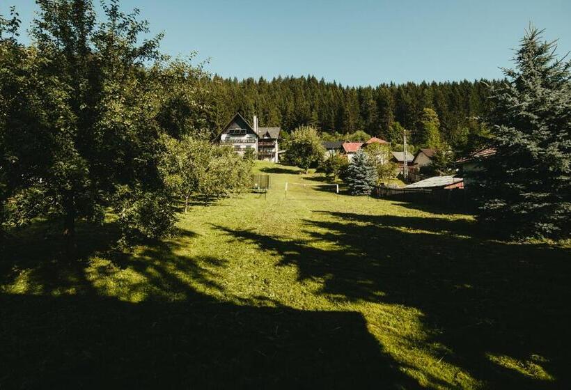Bucovina Lodge Pension