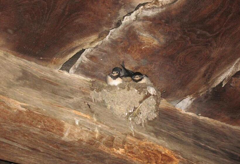 Charming B&b And Osteria La Crisalide