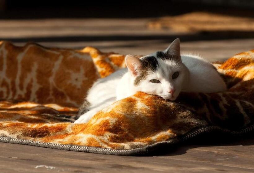 Charming B&b And Osteria La Crisalide