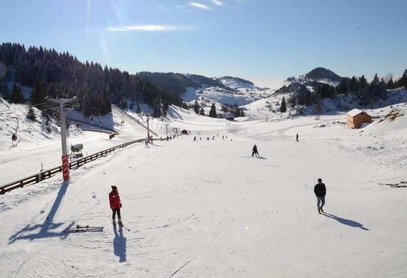 Cheile Gradistei Fundata Resort