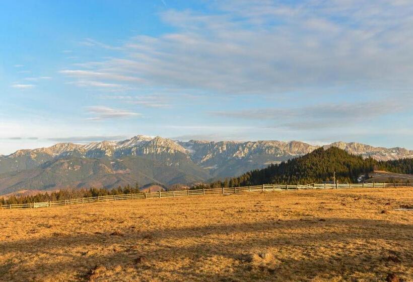 Cheile Gradistei Fundata Resort