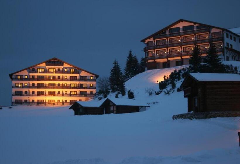 Cheile Gradistei Fundata Resort