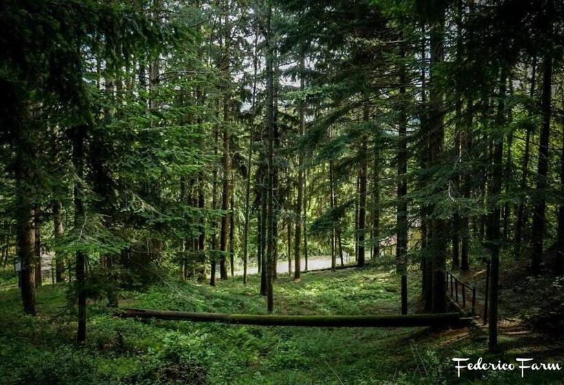 فندق Agriturismo La Casa Del Sarto