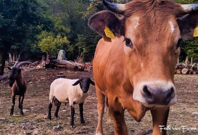 فندق Agriturismo La Casa Del Sarto
