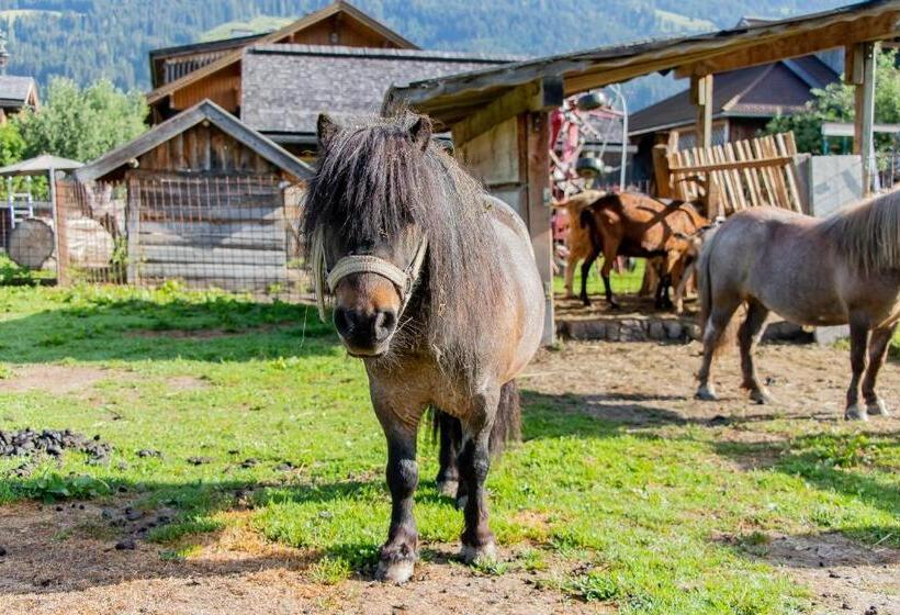 هتل Appartement Arnoldgut