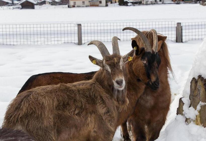 هتل Appartement Arnoldgut