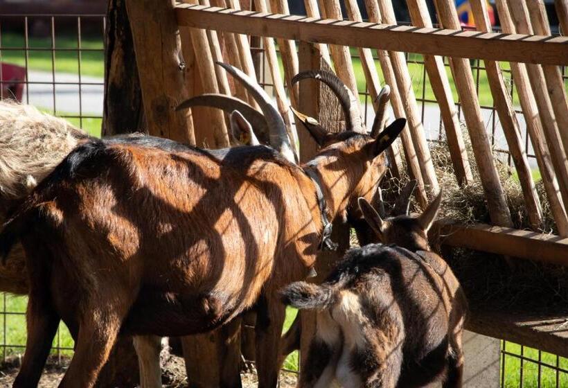 هتل Appartement Arnoldgut