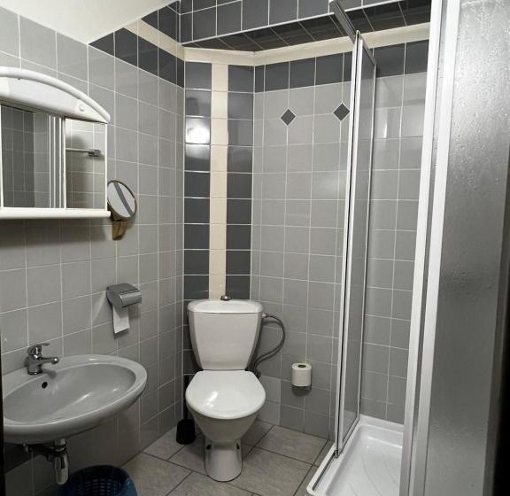 בית מלון כפרי Bohemia Excellent