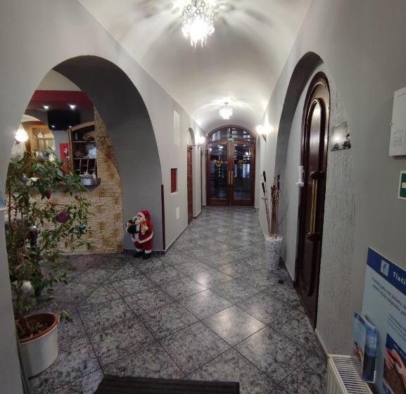 בית מלון כפרי Bohemia Excellent