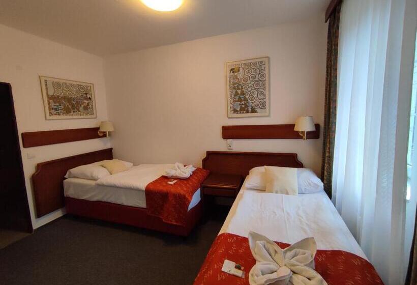 בית מלון כפרי Bohemia Excellent