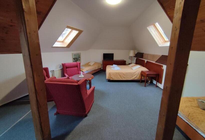 בית מלון כפרי Bohemia Excellent