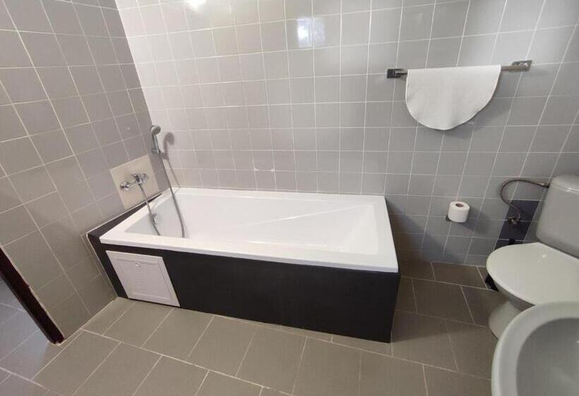 בית מלון כפרי Bohemia Excellent