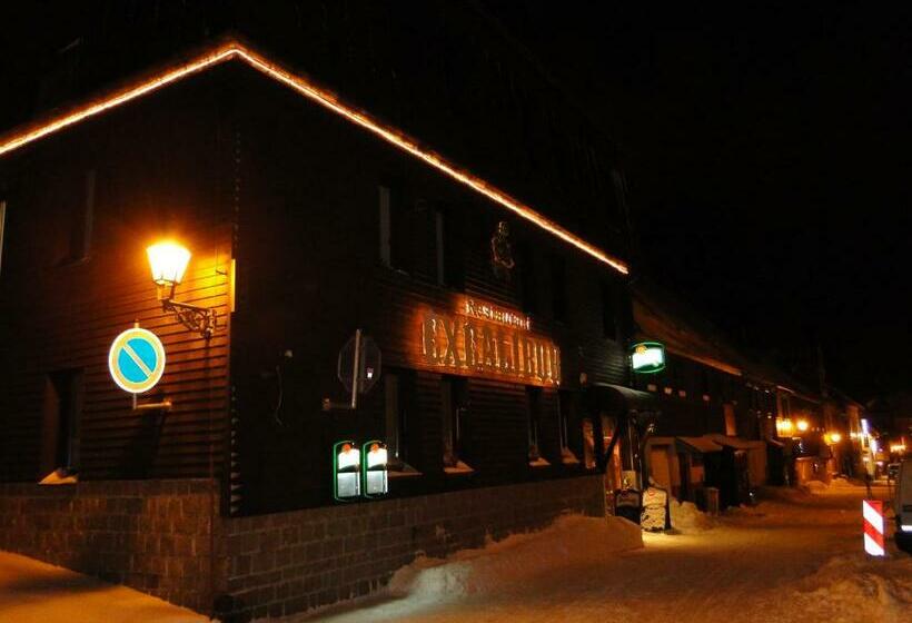 酒店 Bozi Dar   Excalibur