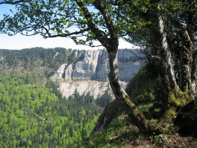 בית מלון כפרי Chambre D Hôtes Petit Martel