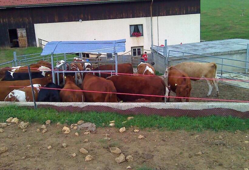 בית מלון כפרי Chambre D Hôtes Petit Martel