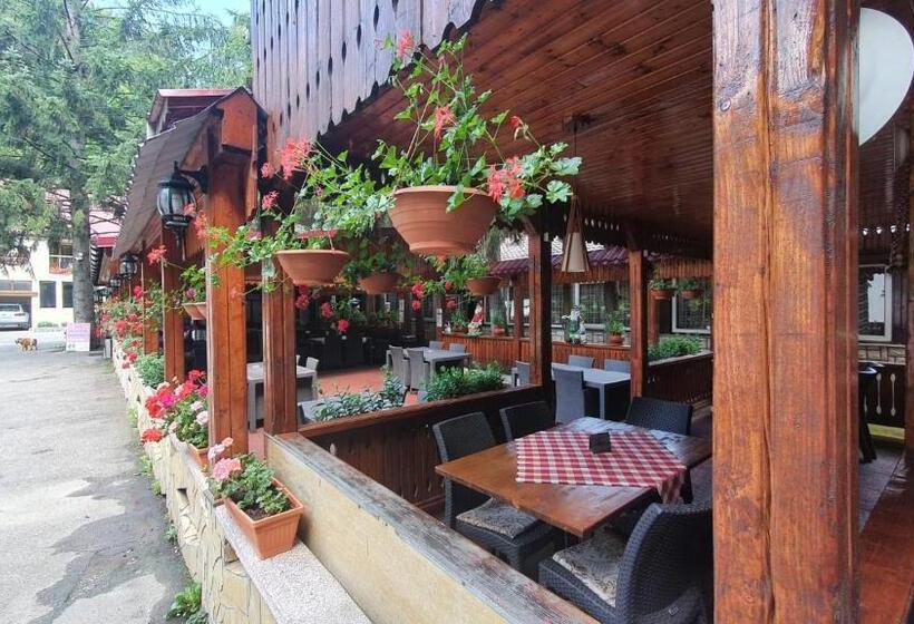 בית מלון כפרי Complex Turistic Caprioara