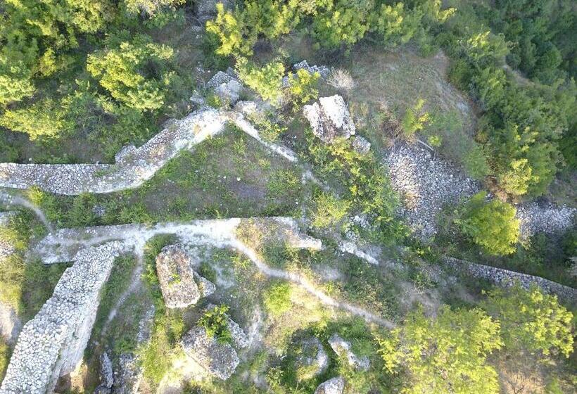 ホテル Elli Greco