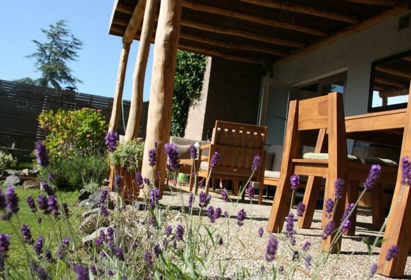 酒店 Maison Bellefleur B&b Pension