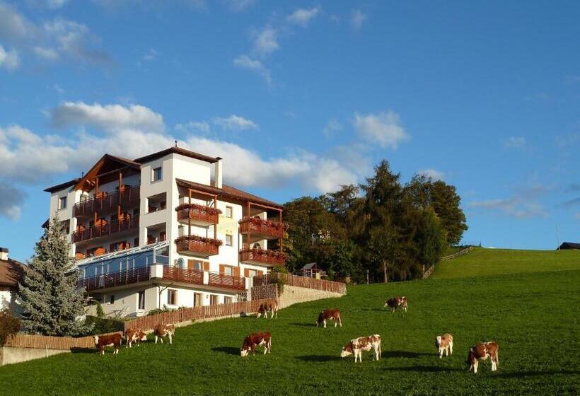 בית מלון כפרי Pension Schlaneiderhof