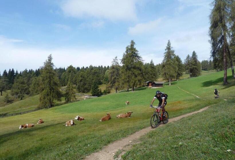 בית מלון כפרי Pension Schlaneiderhof