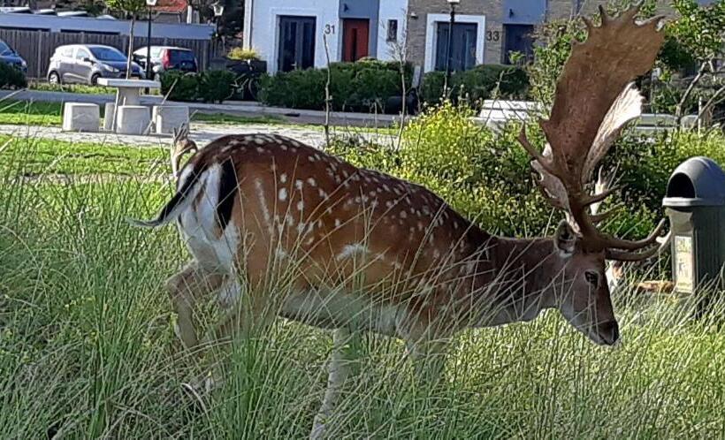 בית מלון כפרי / Pension Villa Tanahlot