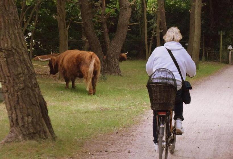בית מלון כפרי / Pension Villa Tanahlot