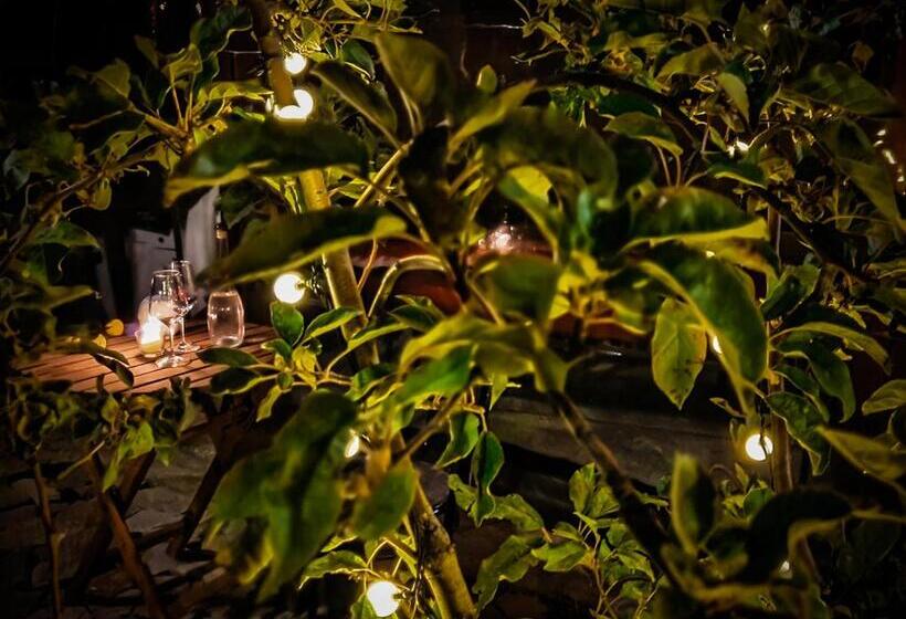 酒店 Red House Family