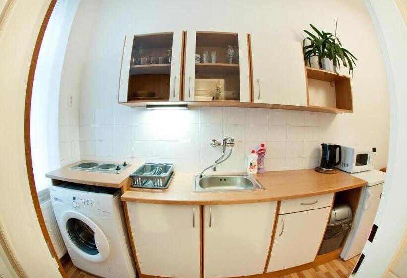 پانسیون Apartmány   Penzion Smetanka