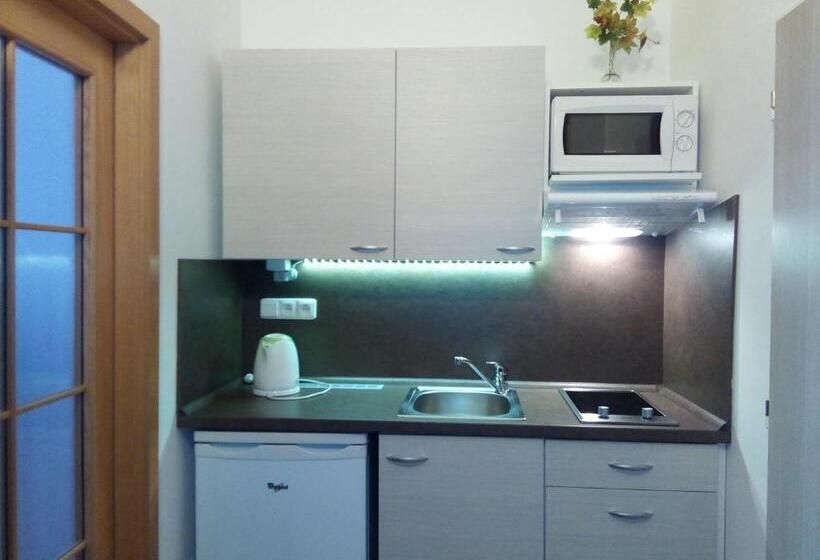 پانسیون Apartmány   Penzion Smetanka