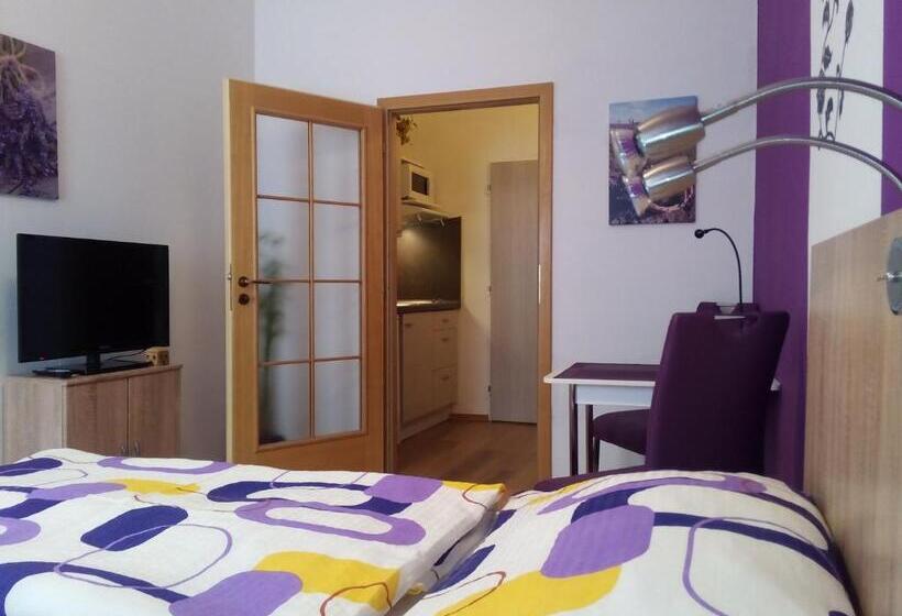 پانسیون Apartmány   Penzion Smetanka
