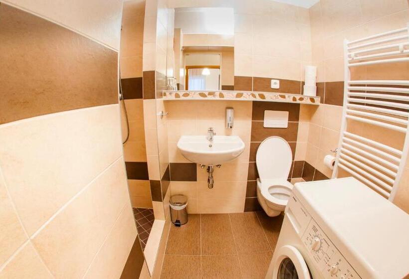 پانسیون Apartmány   Penzion Smetanka