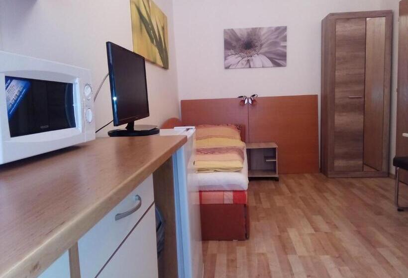 پانسیون Apartmány   Penzion Smetanka